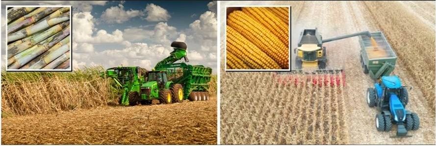 Etanol de milho: fim de ciclo para a cana ou início da biorrefinaria brasileira?